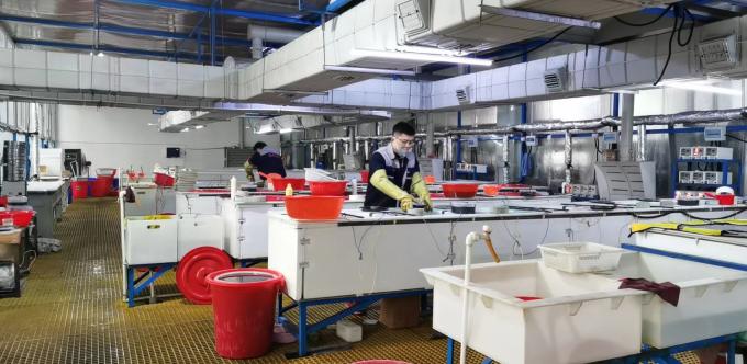 ZHENGZHOU JINCHUAN ABRASIVES CO., LTD. Wisata pabrik